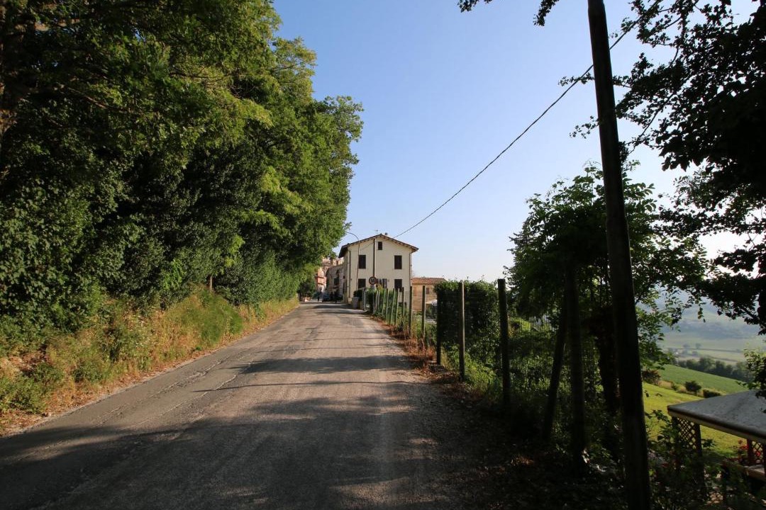 Photo of Others in Arcevia