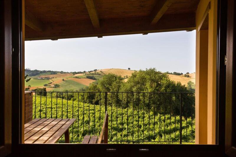 Photo of Others in Ortezzano