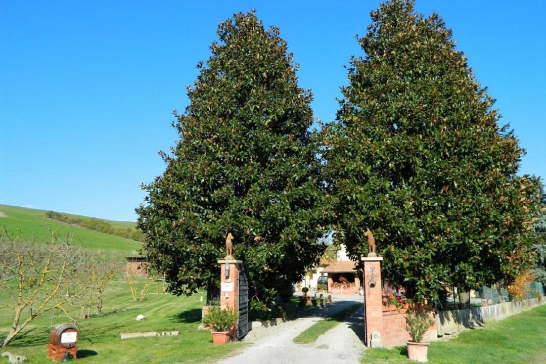 Photo of Others in Il Poggio