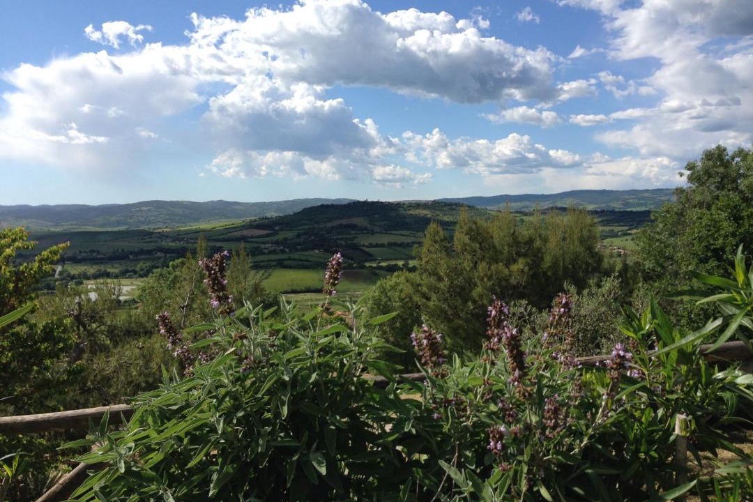 Photo of Outdoor in Manciano