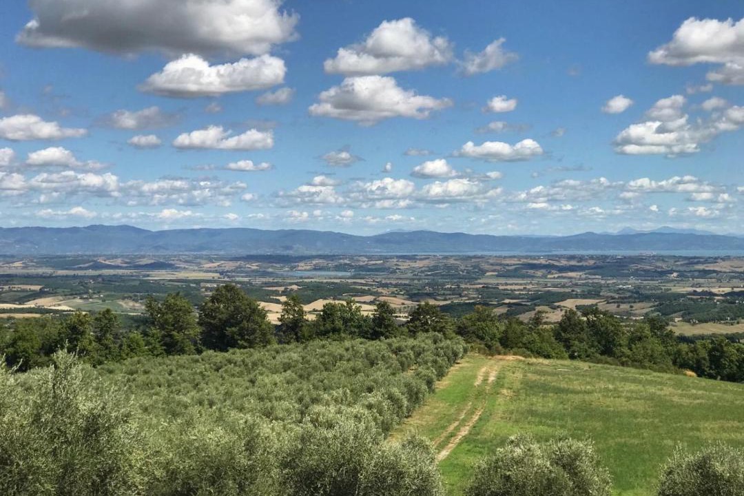 Photo of Others in Sarteano