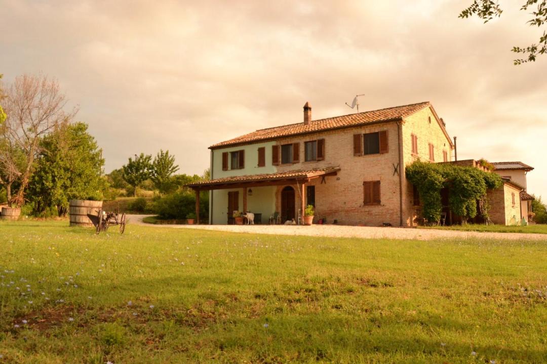 Photo of Others in Terre Roveresche