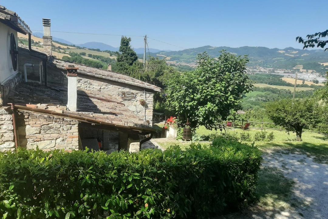 Photo of Others in Urbino
