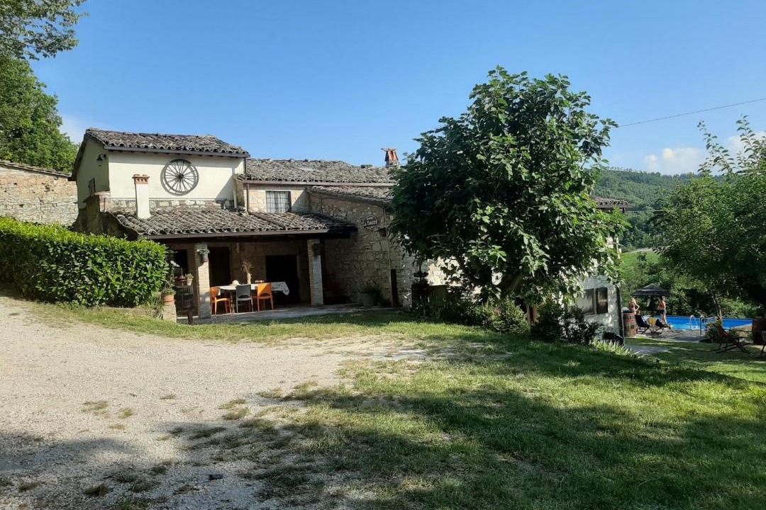Photo of Others in Urbino