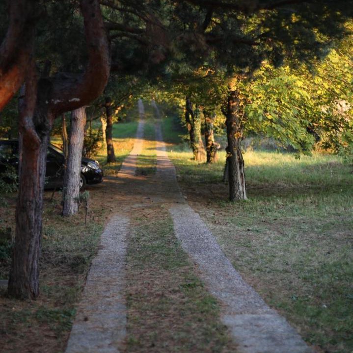 Photo of Outdoor in Petrovaradin