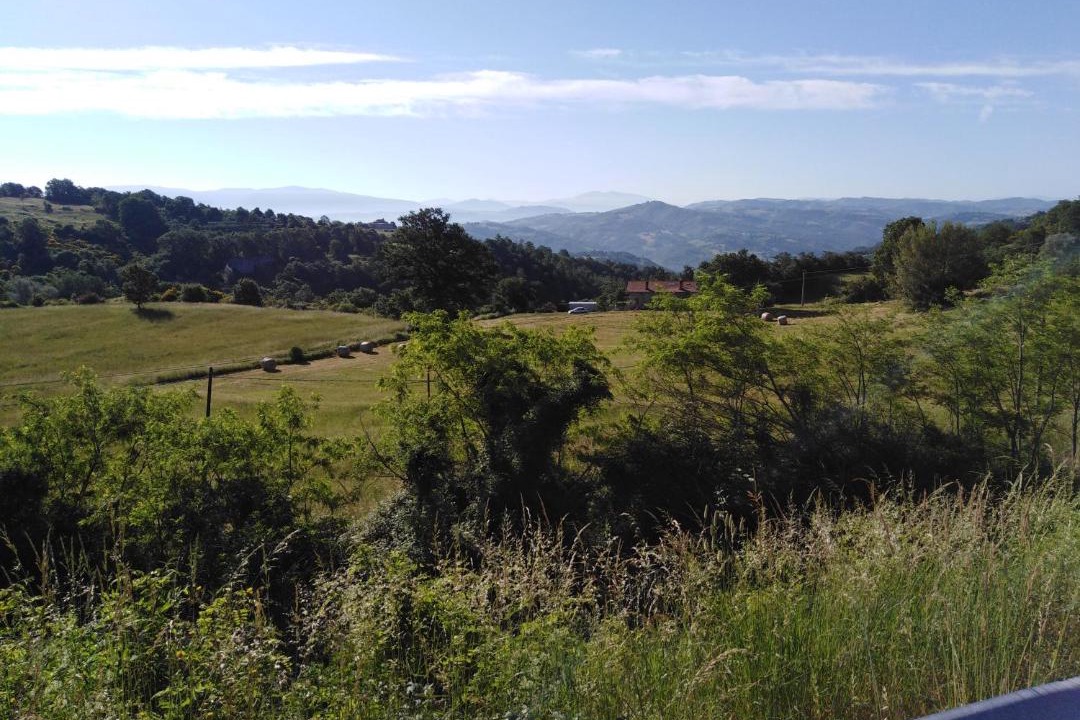 Photo of Others in Monteluiano