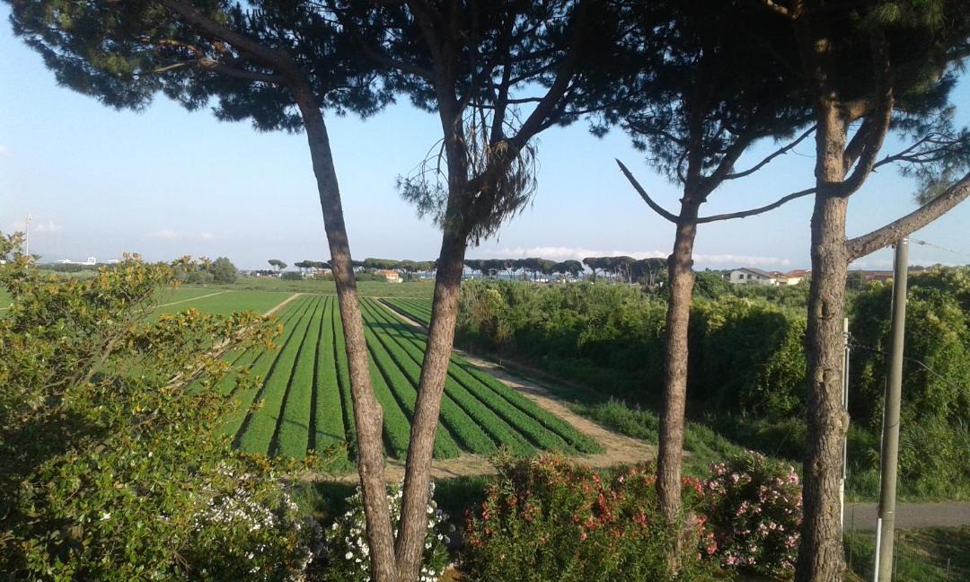 Photo of Outdoor in Fiumaretta