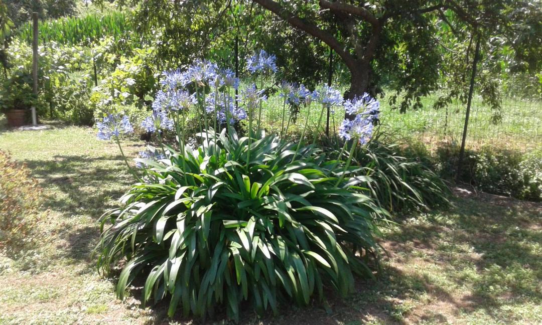 Photo of Outdoor in Fiumaretta