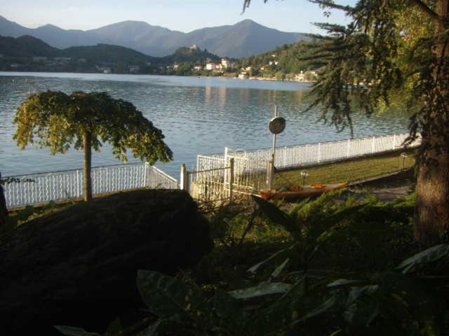 Photo of Others in Avigliana