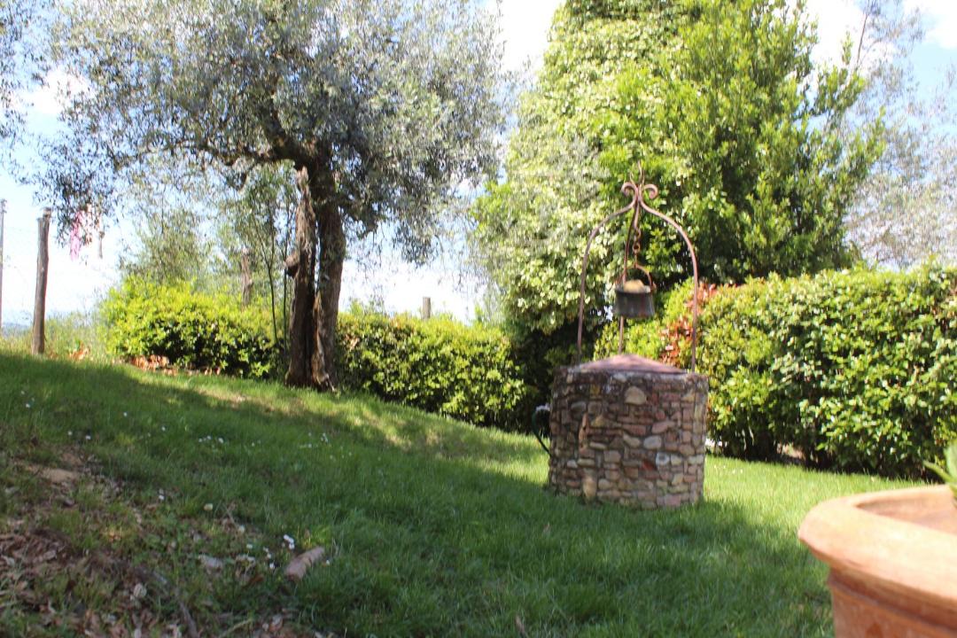 Photo of Others in Certaldo