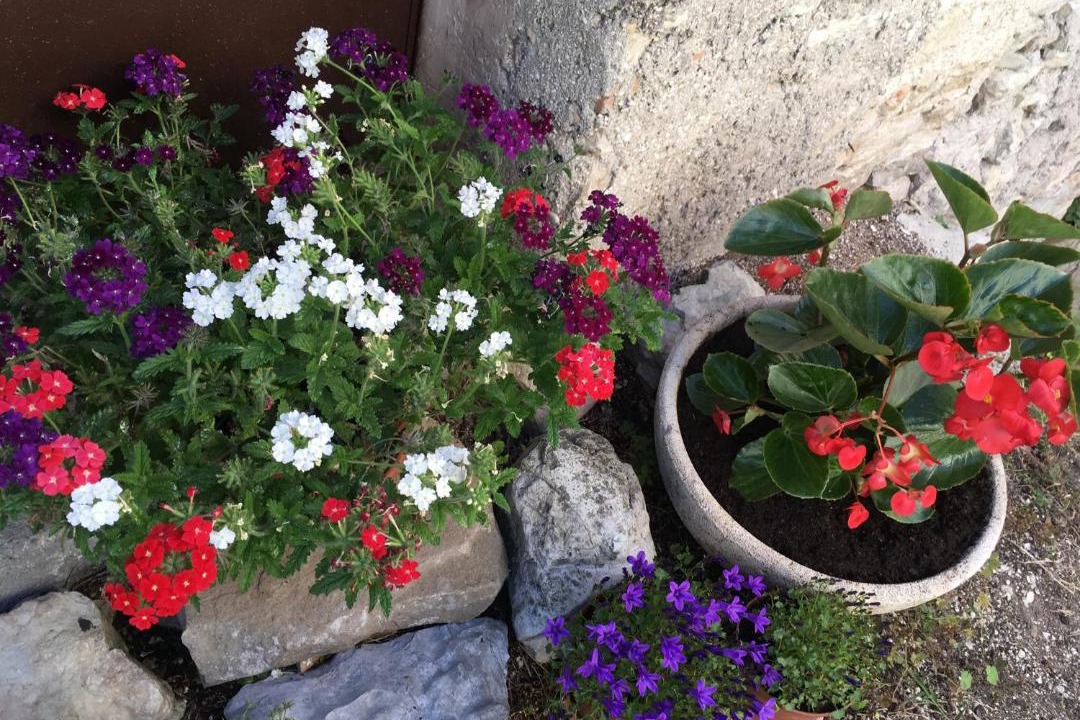 Photo of Patio Balcony in Genga