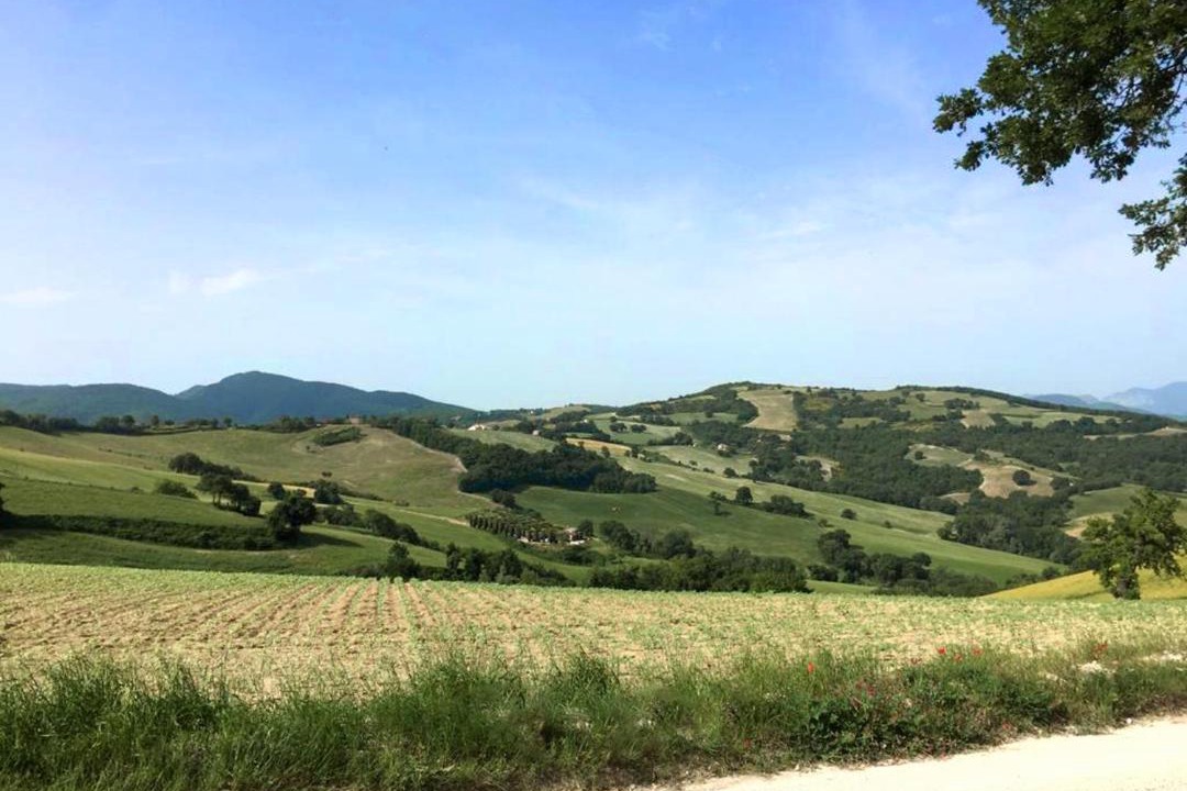 Photo of Outdoor in San Pietro