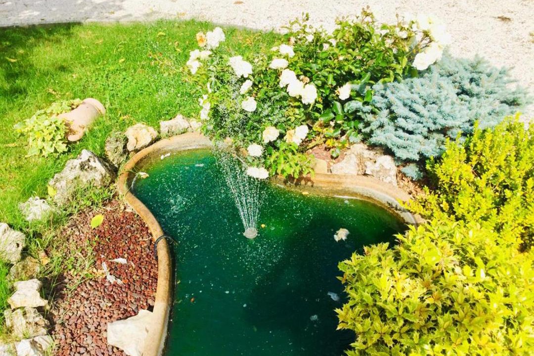 Photo of Outdoor in San Pietro