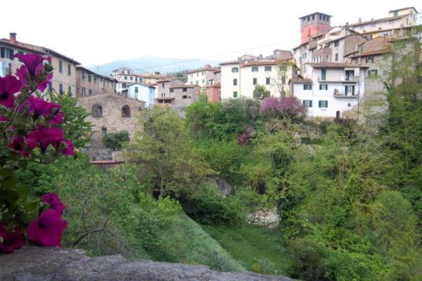 Photo of Others in Loro Ciuffenna