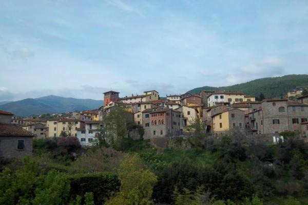 Photo of Others in Loro Ciuffenna