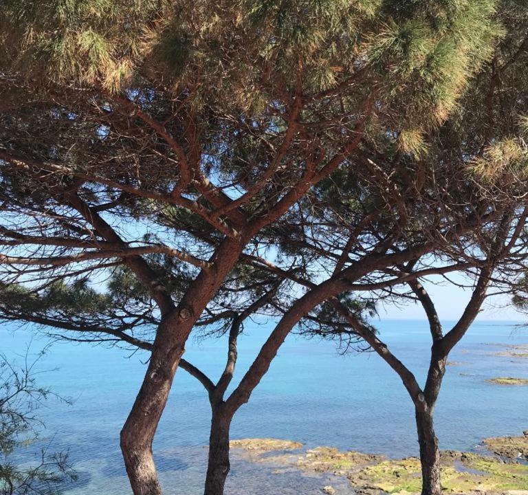 Photo of Others in Capo