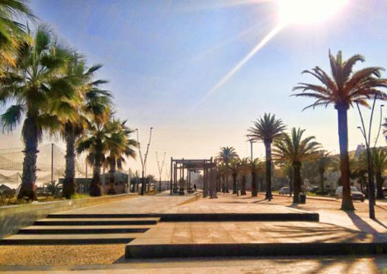 Photo of Others in Roseto degli Abruzzi