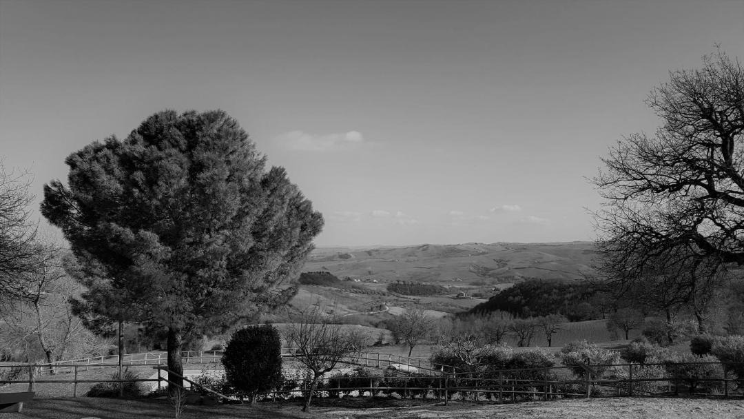 Photo of Others in San Severino Marche