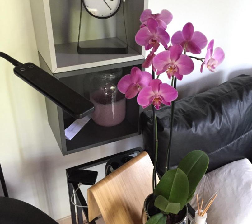 Photo of Livingroom in San Felice del Benaco