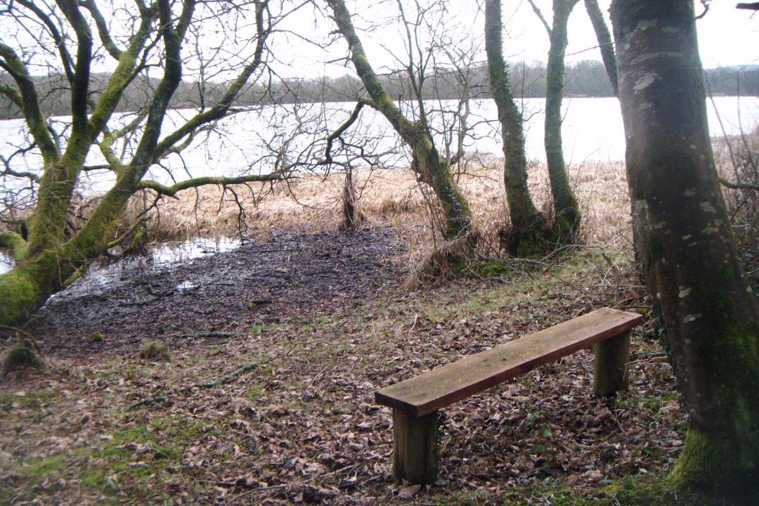 Photo of Others in Enniskillen
