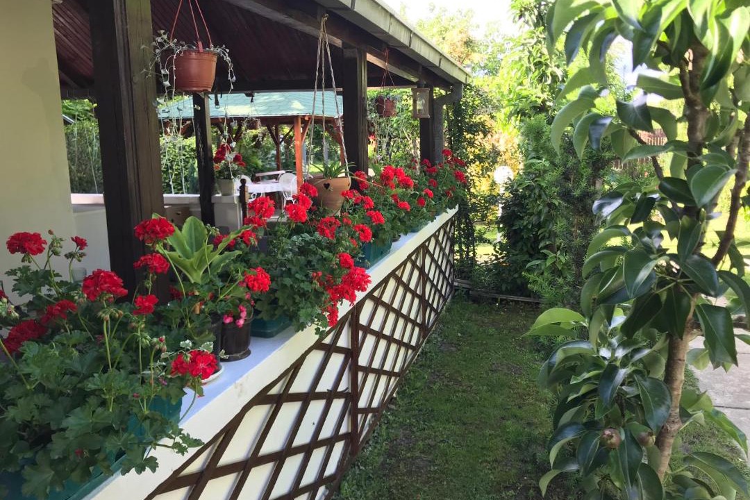 Photo of Patio Balcony in Kovilj