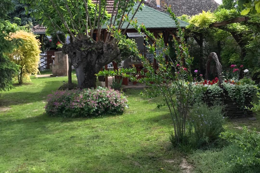 Photo of Others in Kovilj