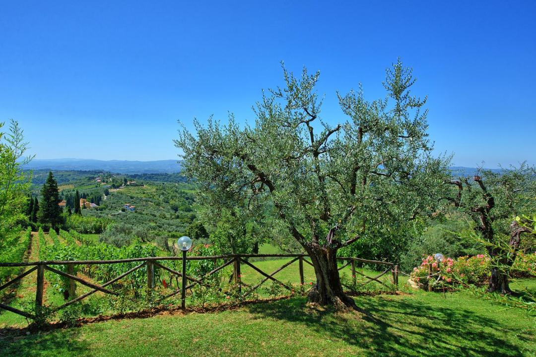 Photo of Others in Magliano