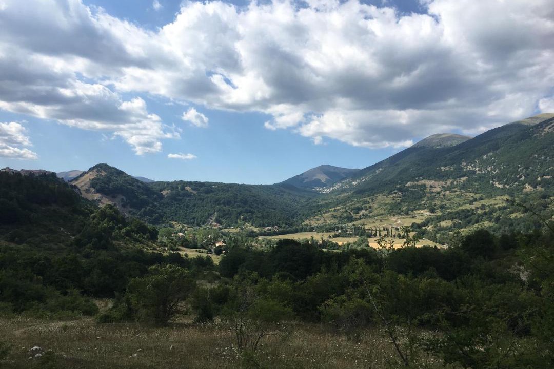 Photo of Outdoor in Opi