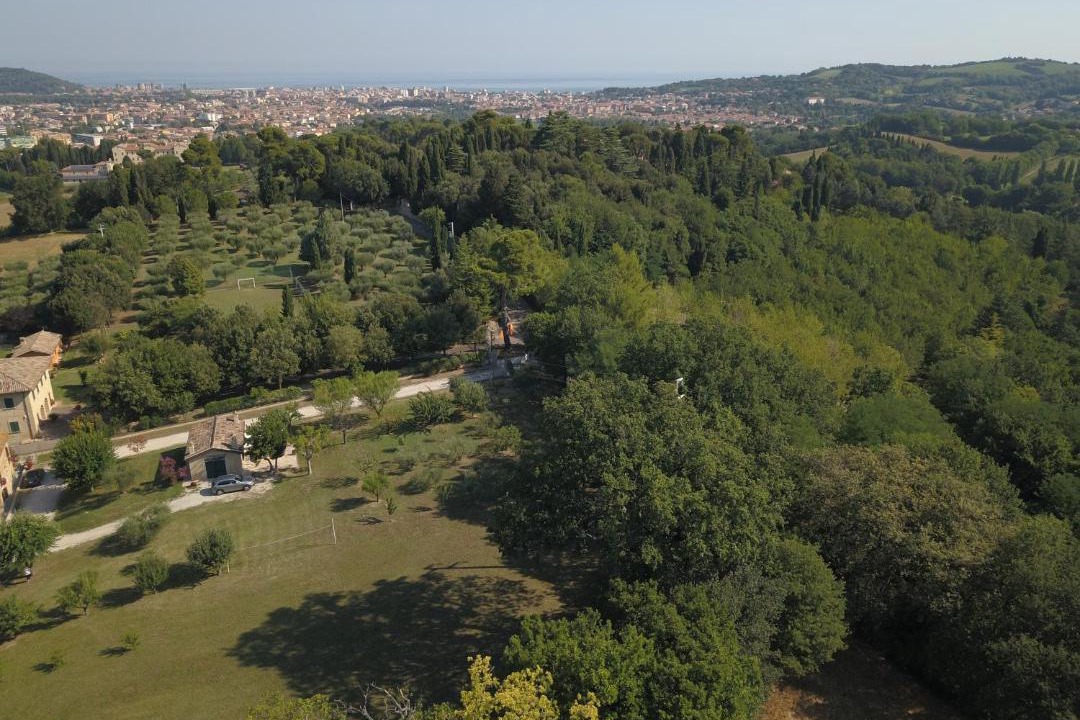 Photo of Others in Pesaro