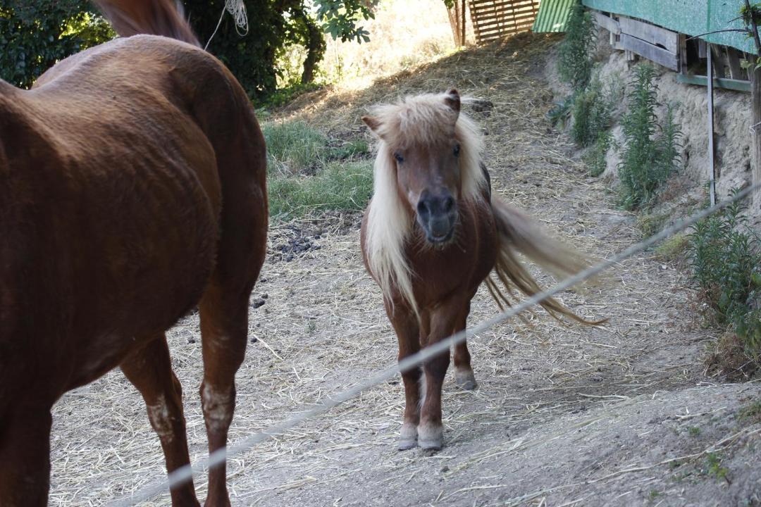 Photo of Others in Piagge