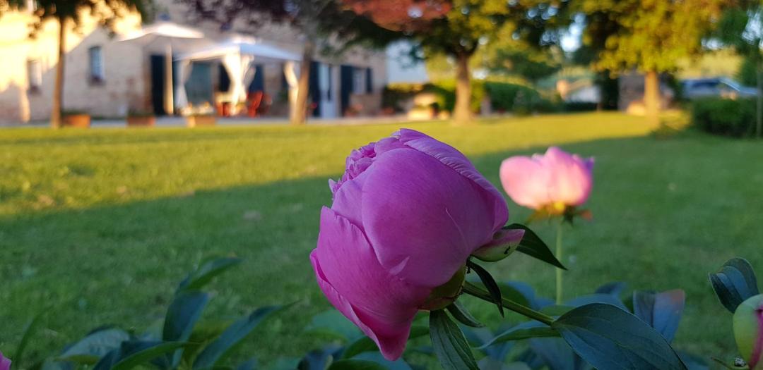 Photo of Outdoor in Montelupone