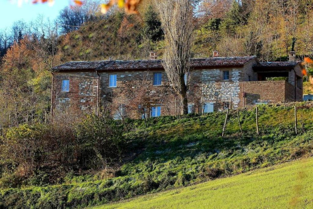 Photo of Others in Urbino