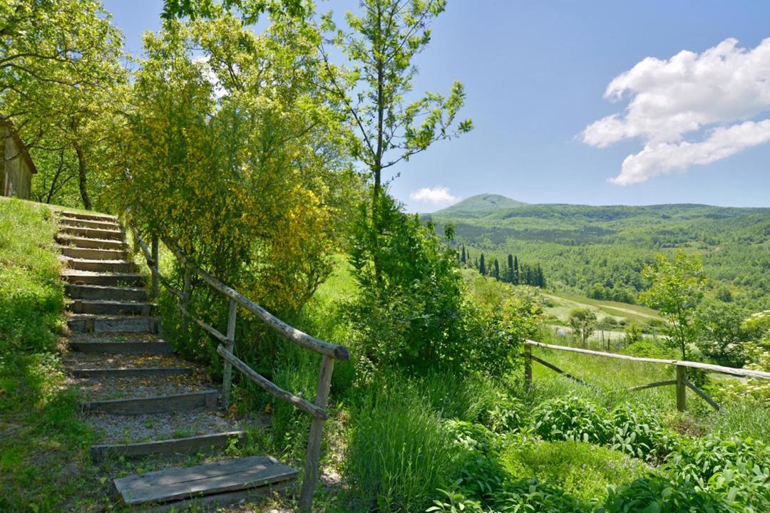 Photo of Others in Vivo dʼOrcia