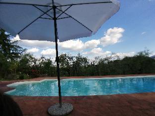 Photo of Others in Lecchi in Chianti