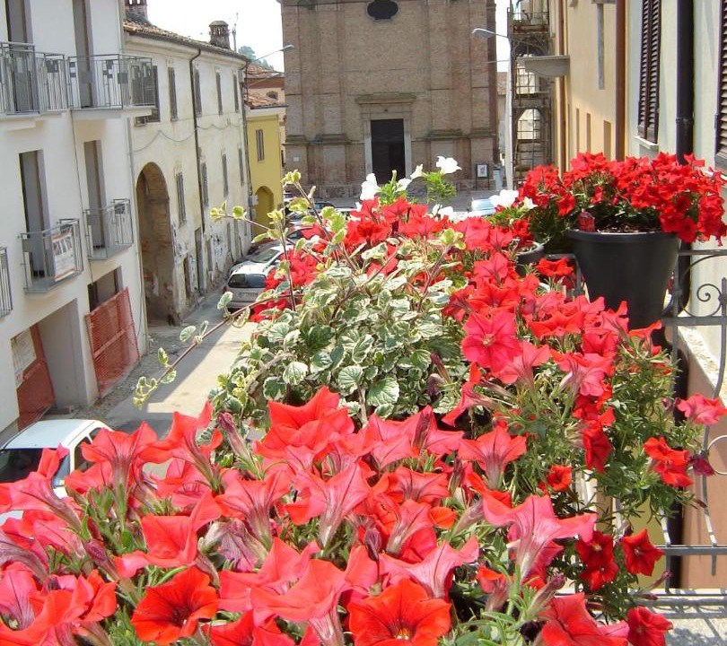 Photo of Others in Borgo