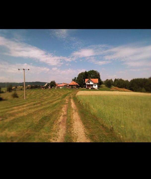 Photo of Others in Zlatibor