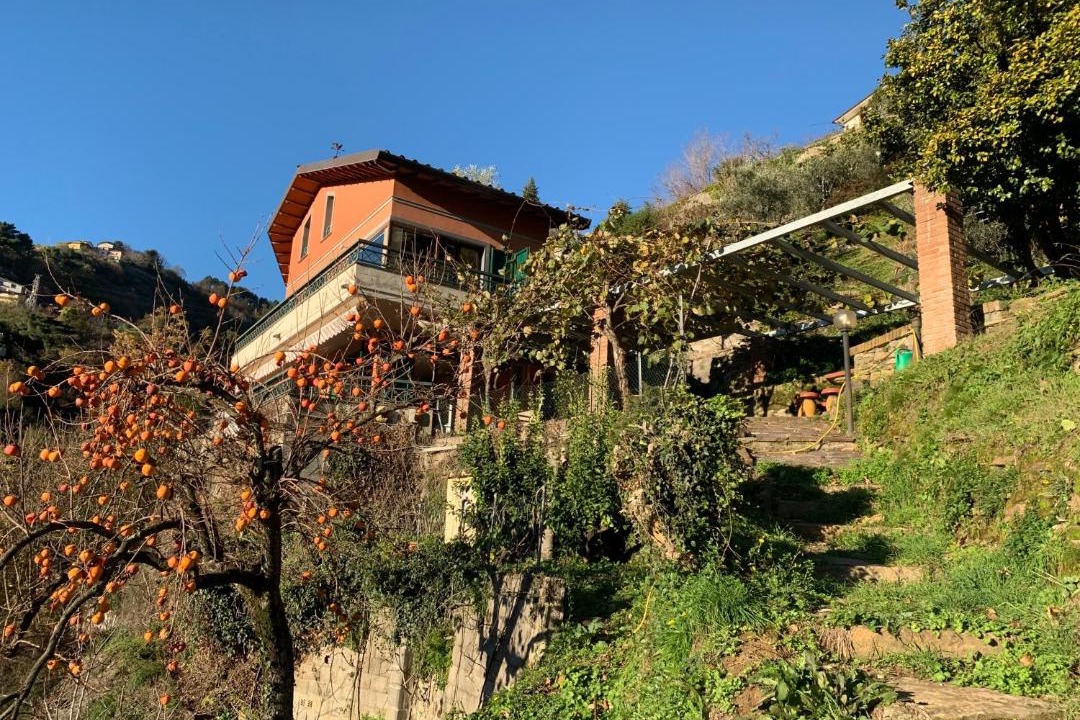 Photo of Others in Montignoso
