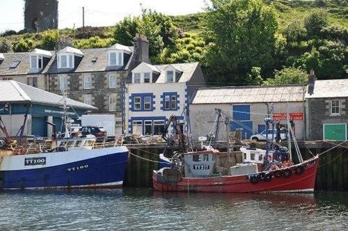 Photo of Others in Tarbert