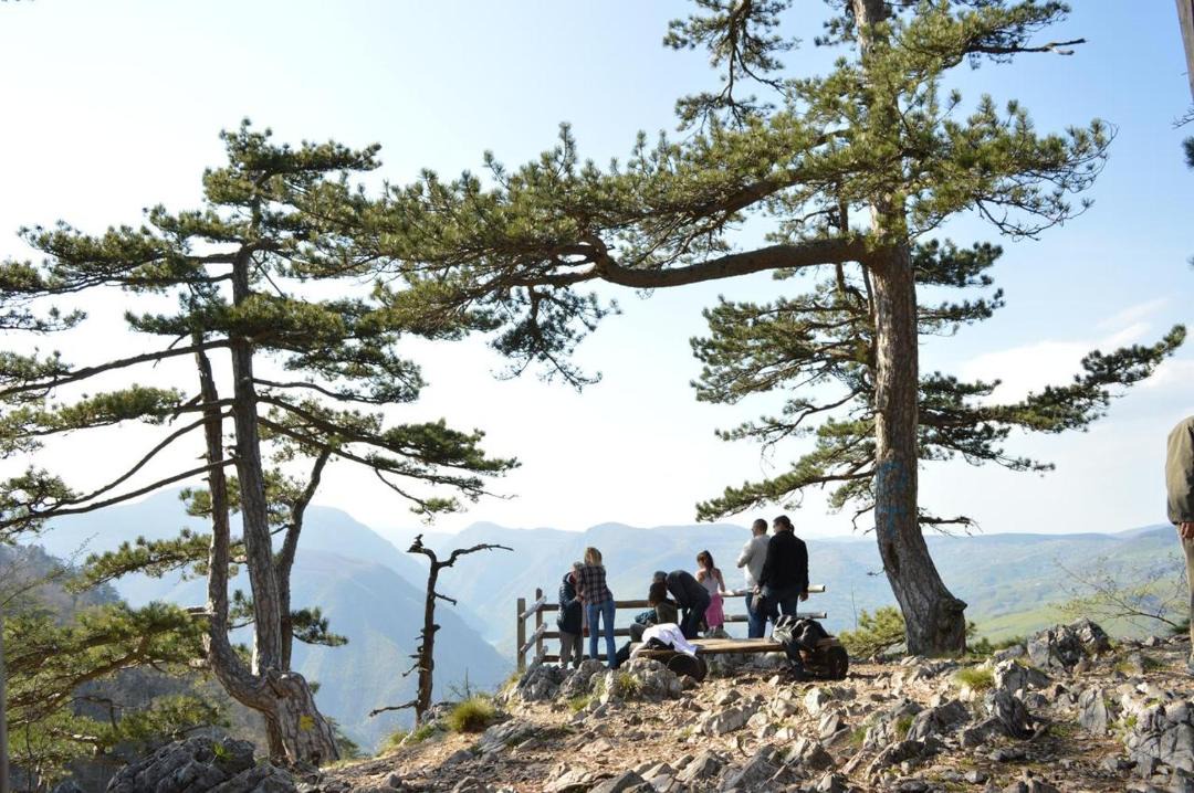 Photo of Others in Konjska Reka