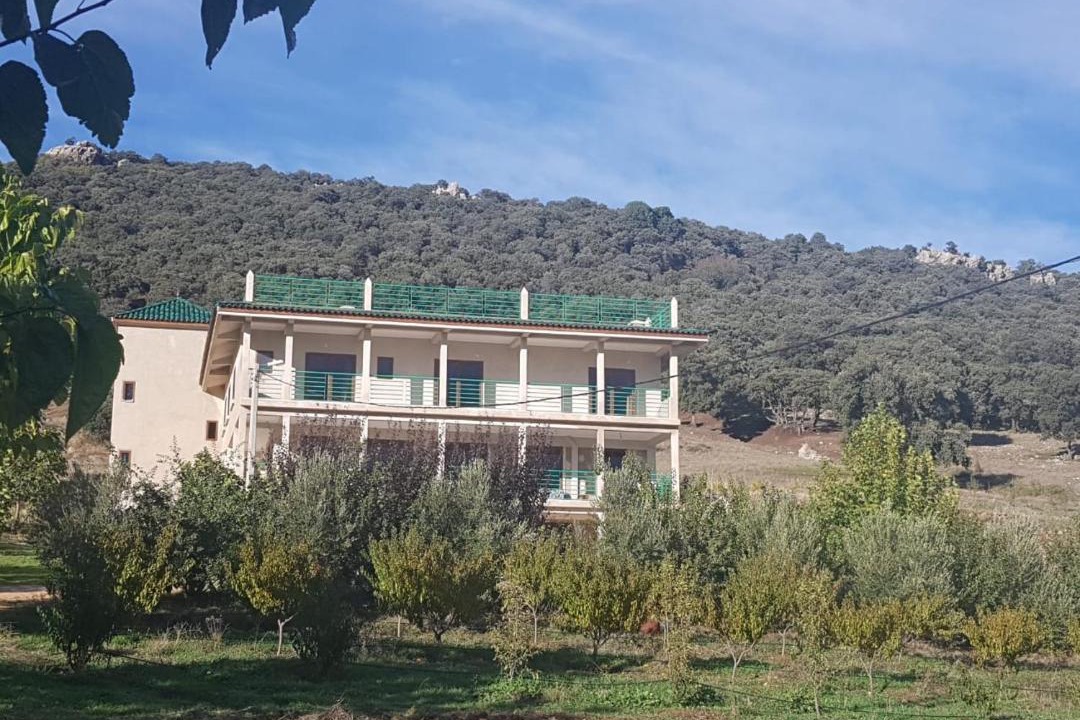 Photo of Others in Zaouia Ben Smine