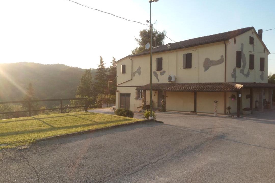 Photo of Others in Urbino