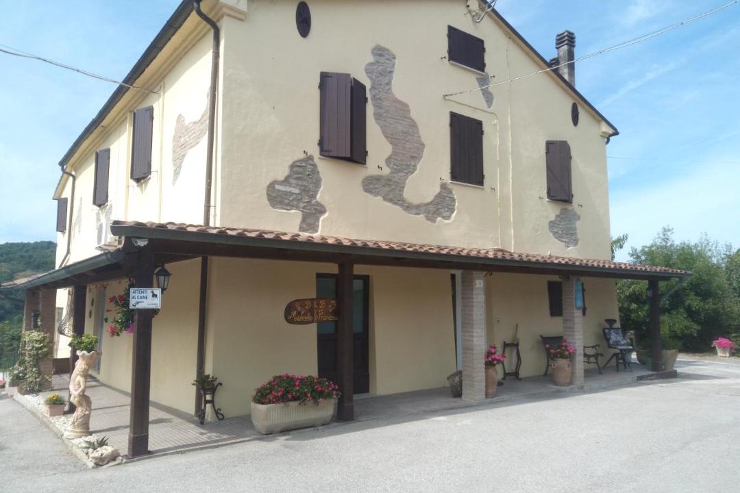 Photo of Others in Urbino