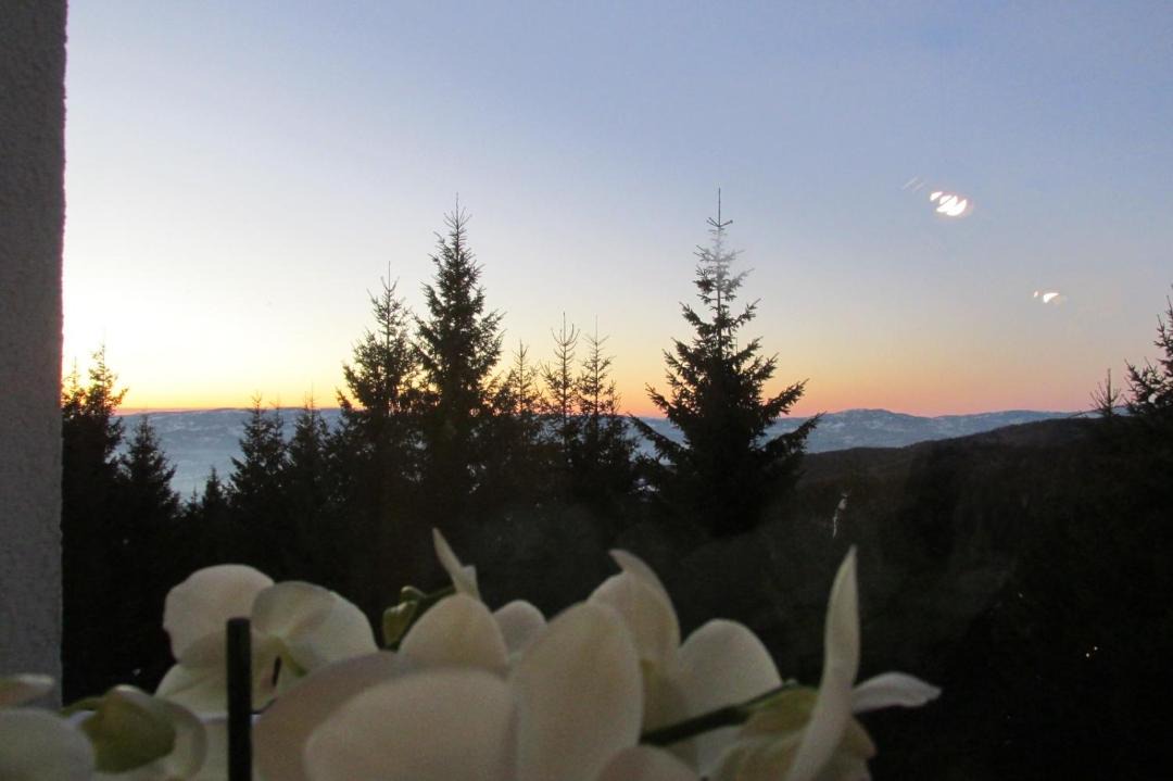 Photo of Others in Kopaonik