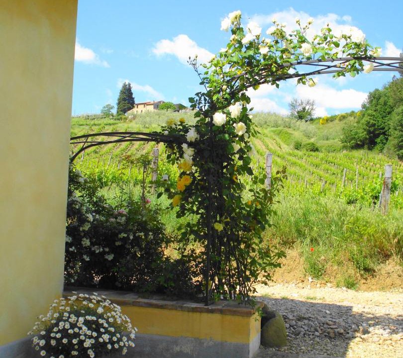 Photo of Others in Greve in Chianti