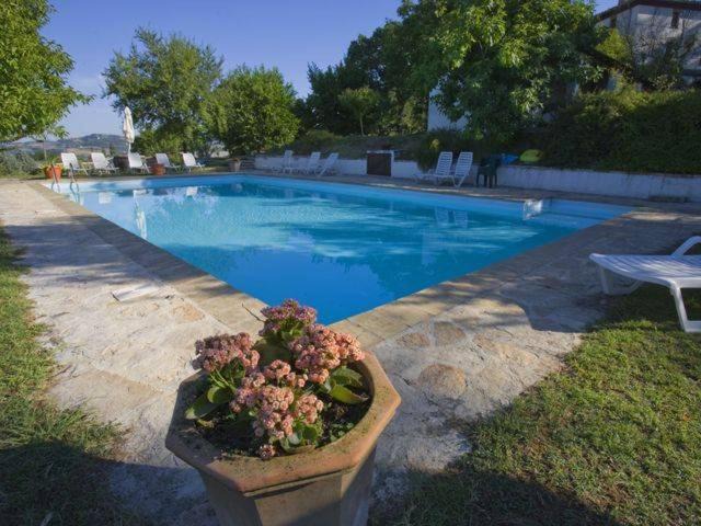 Photo of Outdoor in Umbertide
