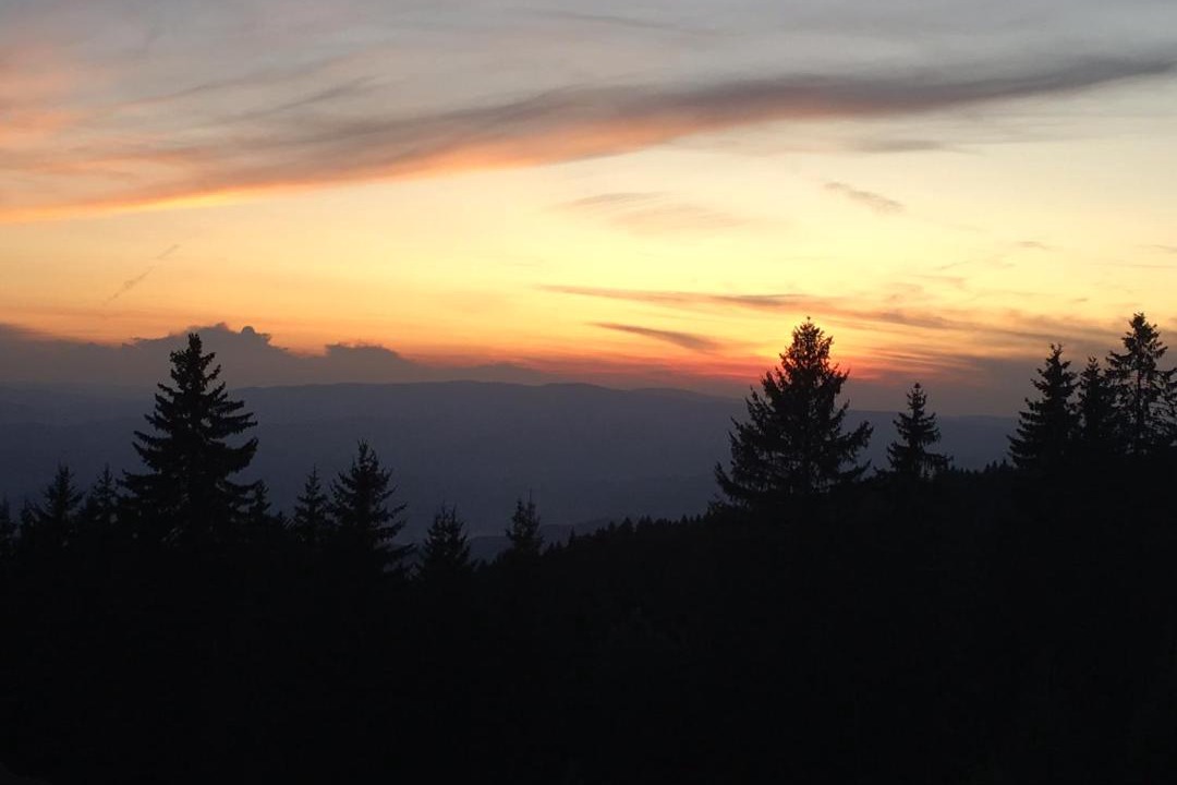 Photo of Others in Kopaonik