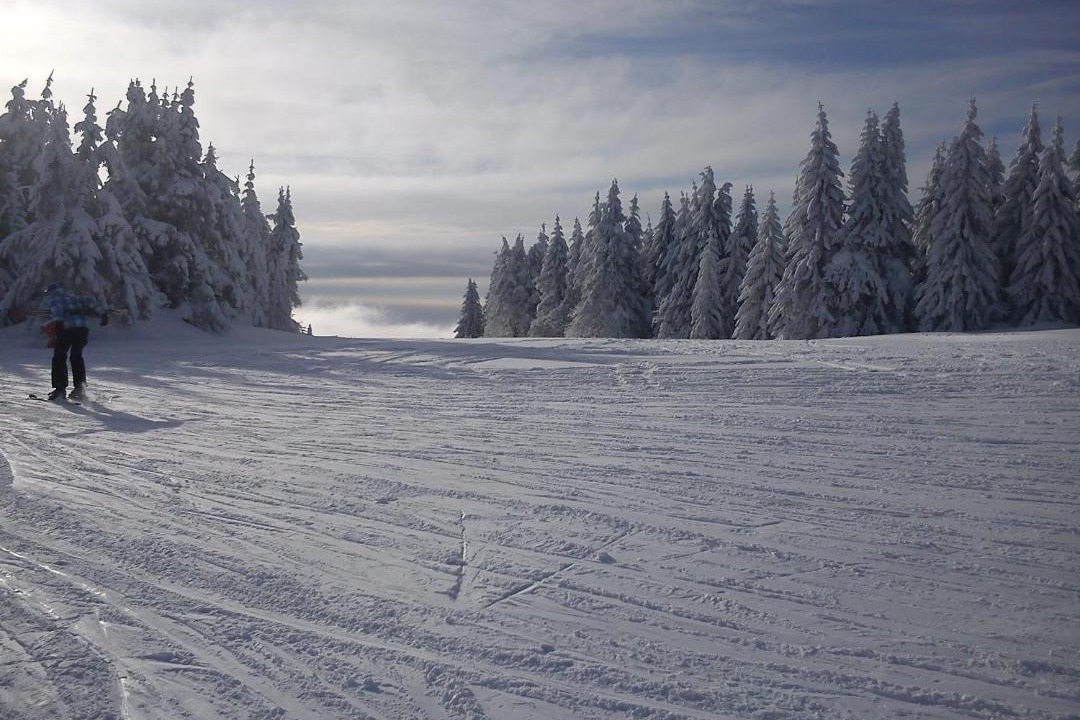 Photo of Others in Kopaonik