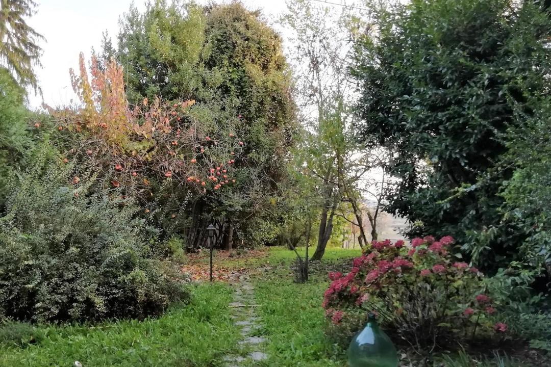 Photo of Outdoor in Moncalvo