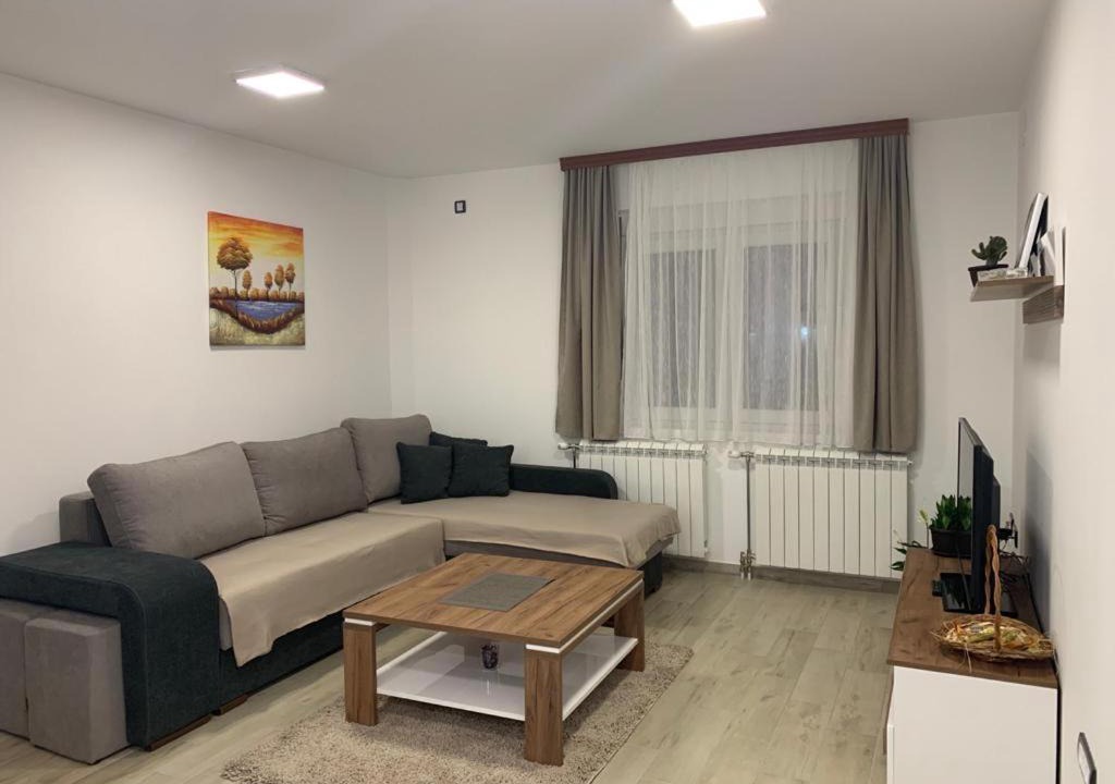 Photo of Livingroom in Novi Beograd
