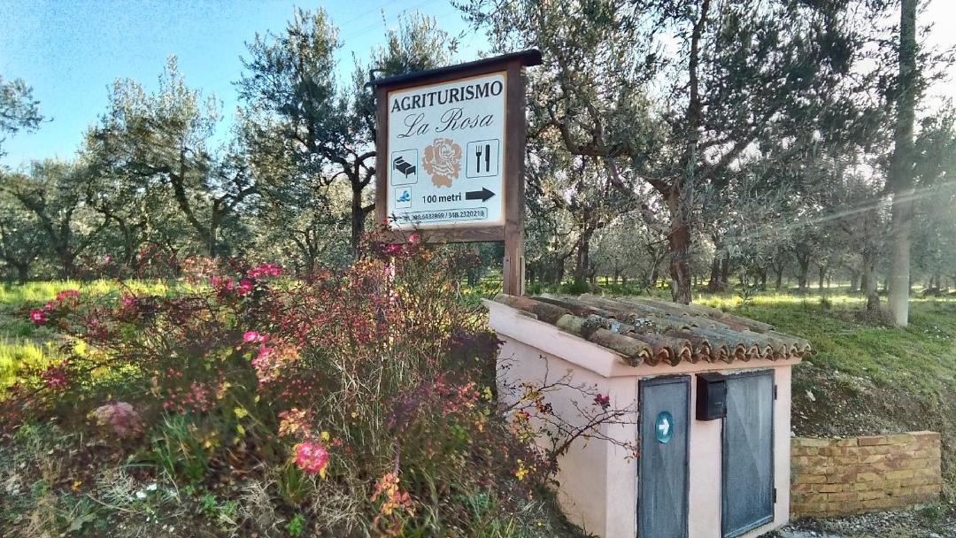 Photo of Others in Montefalco